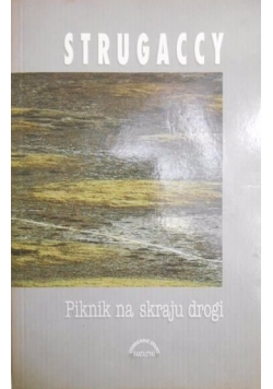 Piknik na skraju drogi