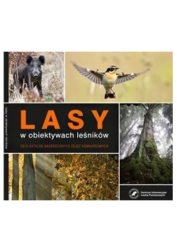 Lasy w obiektywach leśników