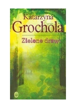 Zielone drzwi
