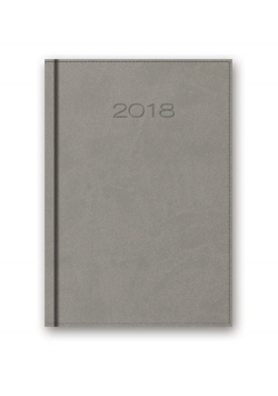 Kalendarz 2018 41D B6 szary