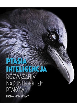 Ptasia inteligencja Rozważania nad intelektem ptaków