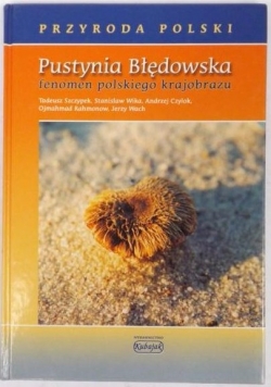 Pustynia Błędowska. Fenomen polskiego krajobrazu