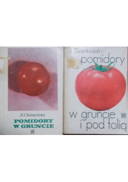 Pomidory w gruncie / Pomidory w gruncie i pod folią
