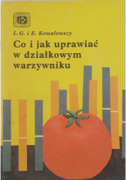 Co i jak uprawiać w działkowym warzywniku