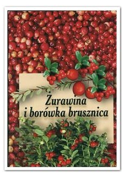 Żurawina i borówka brusznica