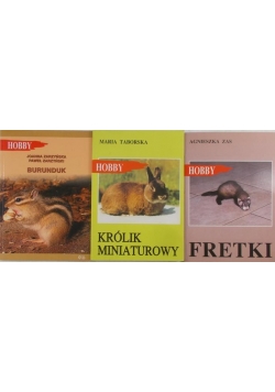 Królik miniaturowy, Burunduk, Fretki