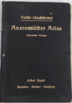 Anatomischer atlas