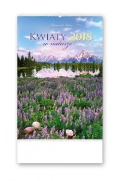 Kalendarz 2018 RW 21 Kwiaty w naturze