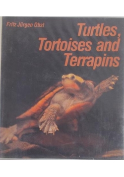 Turtles Tortoises and Terrapins