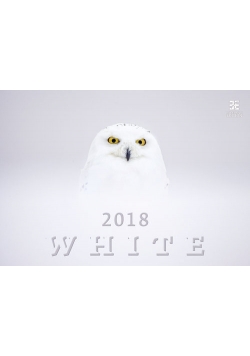 Kalendarz 2018 Biały