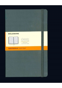 Notes Moleskine Edy Spe L linie szary