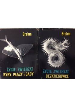 Życie zwierząt-Bezkręgowce,ryby,płazy,gady