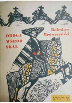 Droga wśród skał