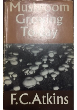 Mushroom Growing To-day