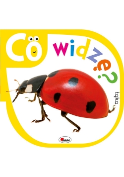 Co widzę Łąka