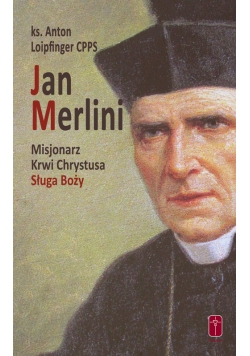 Jan Merlini Misjonarz Krwi Chrystusa, Sługa Boży