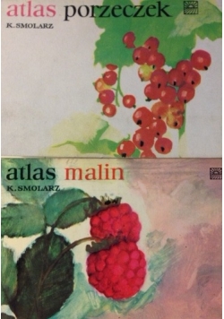Atlas porzeczek/Atlas Malin