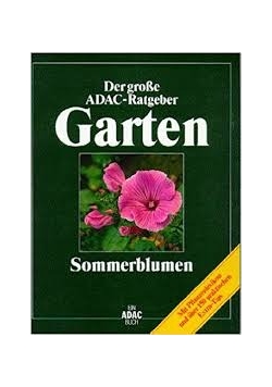 Garten sommerblumen