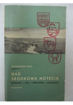 Nad środkową Notecią