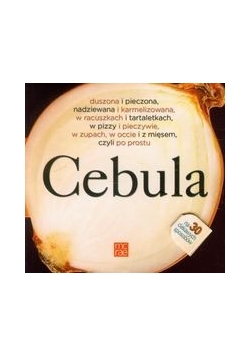 Cebula