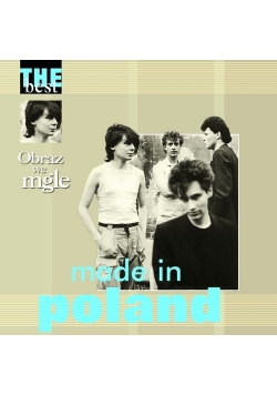 Obraz we mgle
