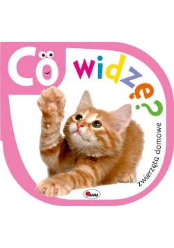 Co widzę Zwierzęta domowe