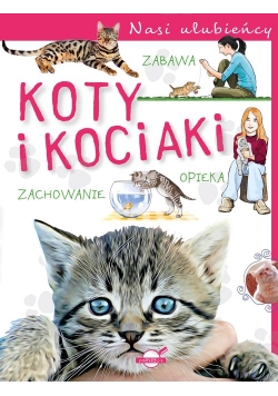 Nasi ulubieńcy Koty i kociaki