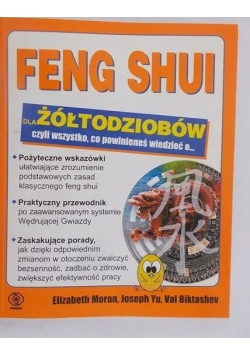 Feng shui dla żółtodziobów