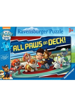 Puzzle Psi Patrol 35