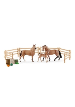 Rodzina koni Hanower na pastwisku Horse Club