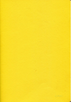Zeszyt A4 Rainbow w kratkę 96 kartek żółty