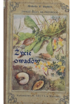 Życie owadów , 1911 r.
