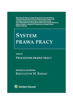 System prawa pracy Tom 6, Nowa