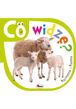 Co widzę Mamy i maluchy