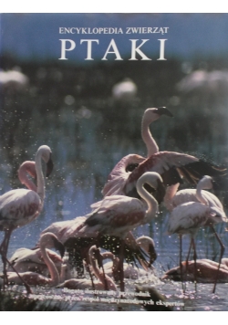 Encyklopedia zwierząt, Ptaki