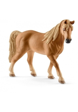 Klacz rasy Tennessee Walker