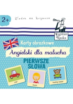 Karty obrazkowe Angielski dla malucha Pierwsze słowa