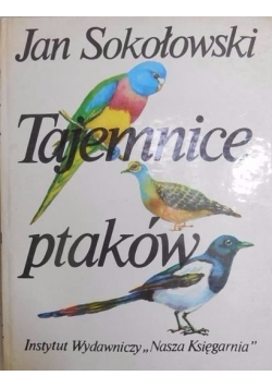 Tajemnice ptaków
