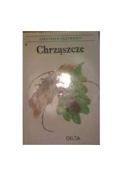 Chrząszcze