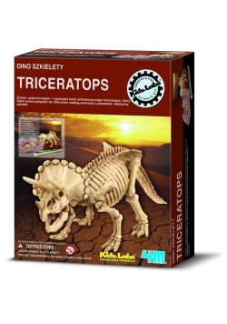 Dino szkielety Triceratops