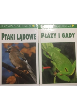 Płazy i gady / Ptaki lądowe