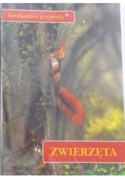 Spotkanie z przyrodą-zwierzęta