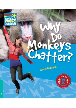 Why Do Monkeys Chatter? 5 Factbook