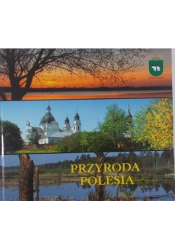 Przygoda Polesia