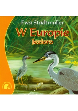 W Europie Jezioro