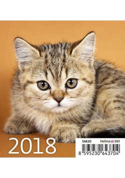 Kalendarz 2018 Biurkowy Mini Kotki