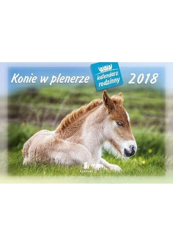 Kalendarz 2018 WL 10 Konie w plenerze