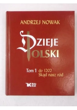 Dzieje Polski, Tom I