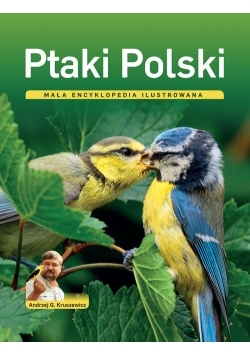 Ptaki Polski Mała encyklopedia ilustrowana
