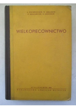 Wielkopiecownictwo